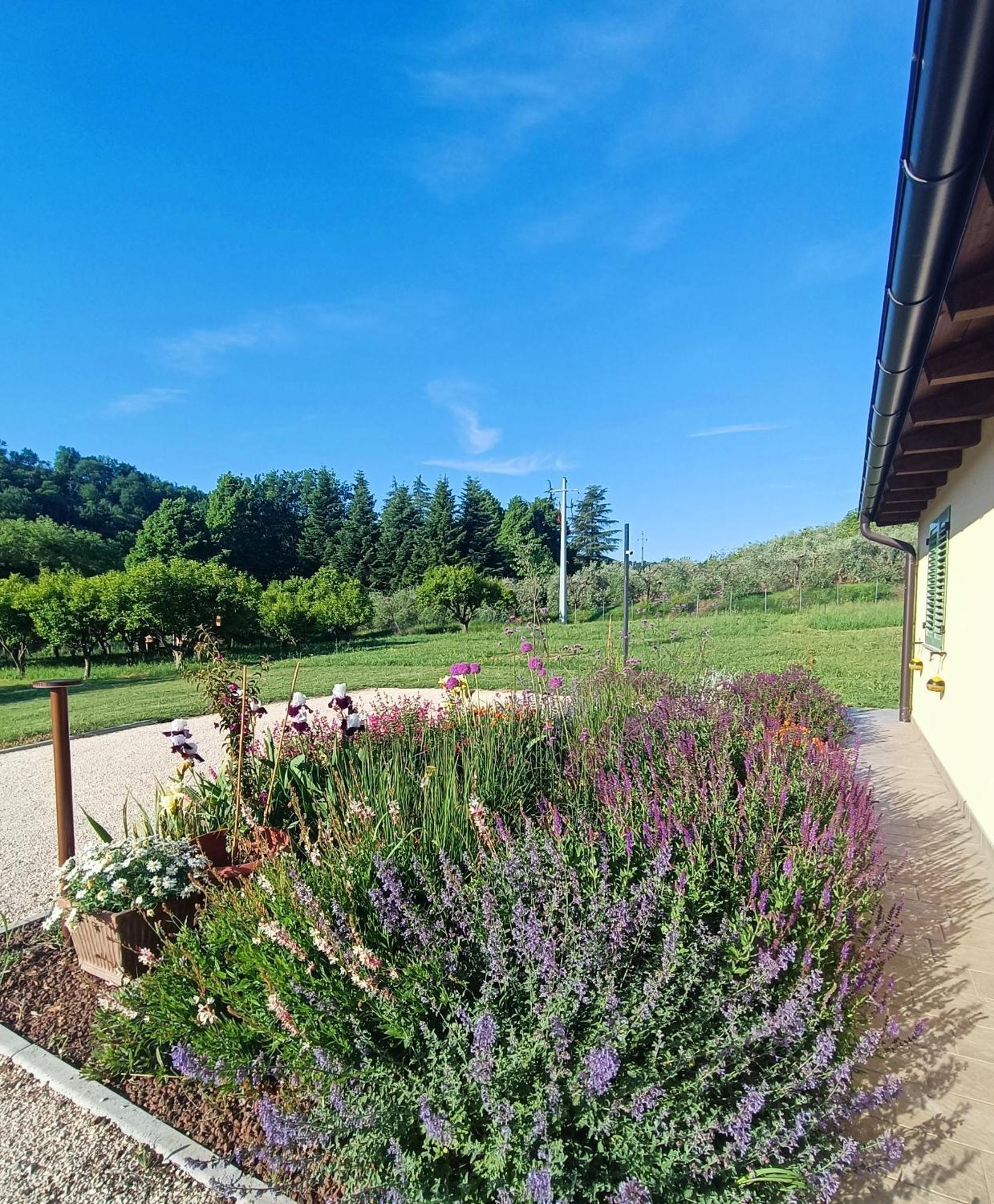 Colle Gelso Guest House Чезена Екстериор снимка